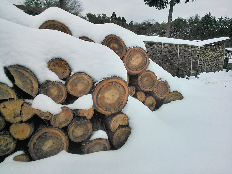 雪に埋もれた原木