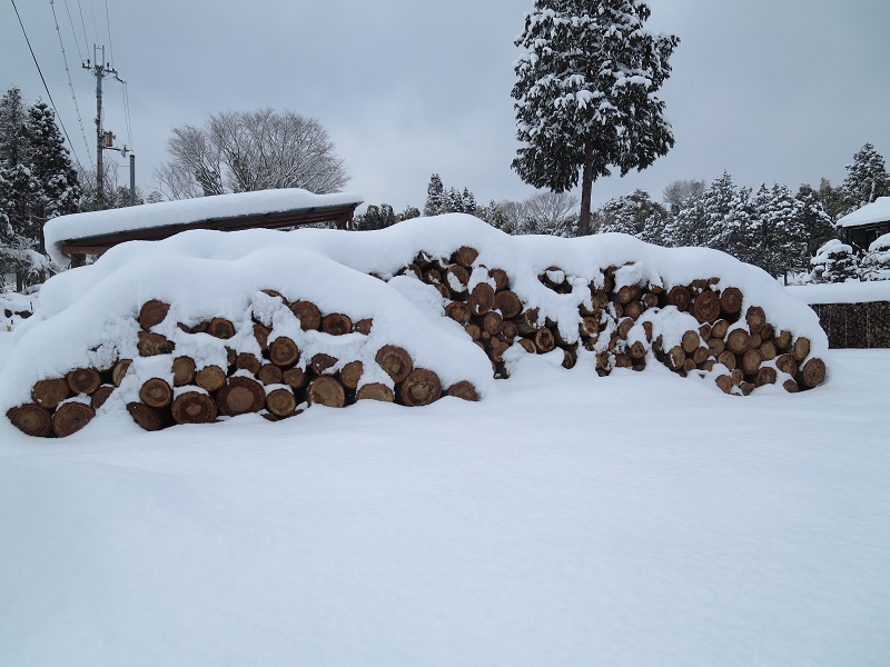 原木に積もる雪