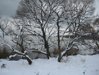 琵琶湖畔の雪景色